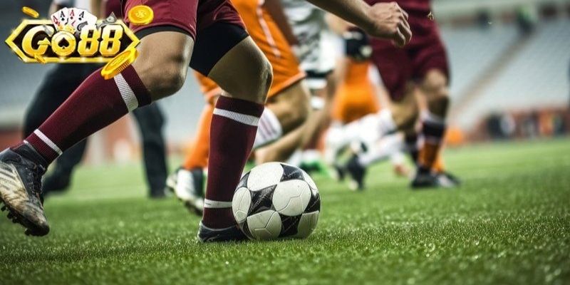 Lưu ý cơ bản trước khi đặt cược kèo rung Go88